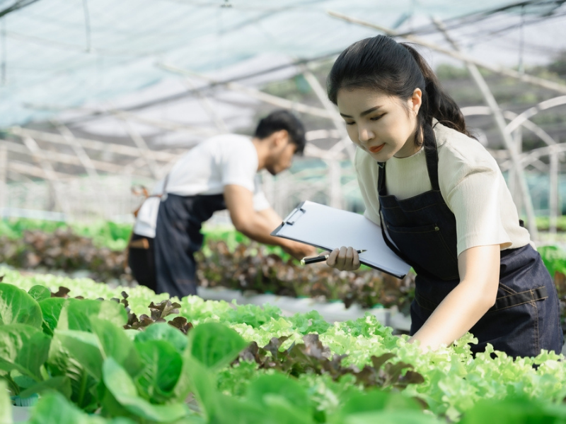 Ngành Nông nghiệp tại Đức